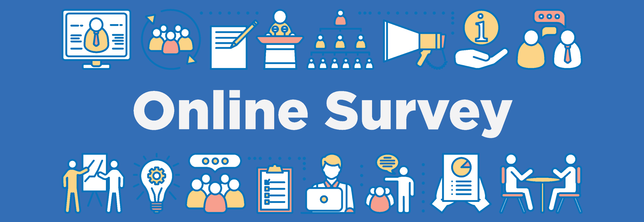 Online Survey
