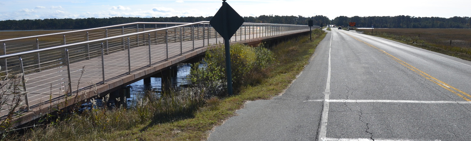 Road in Chincoteague