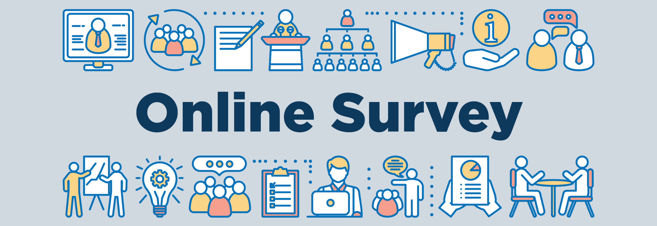 Online Survey