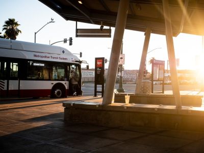 Transit Bus